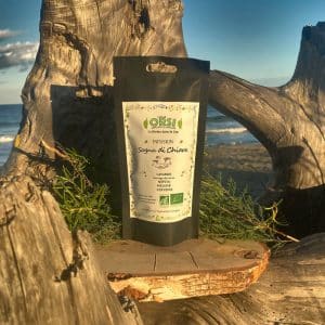 sognu di chiara infusion Corse